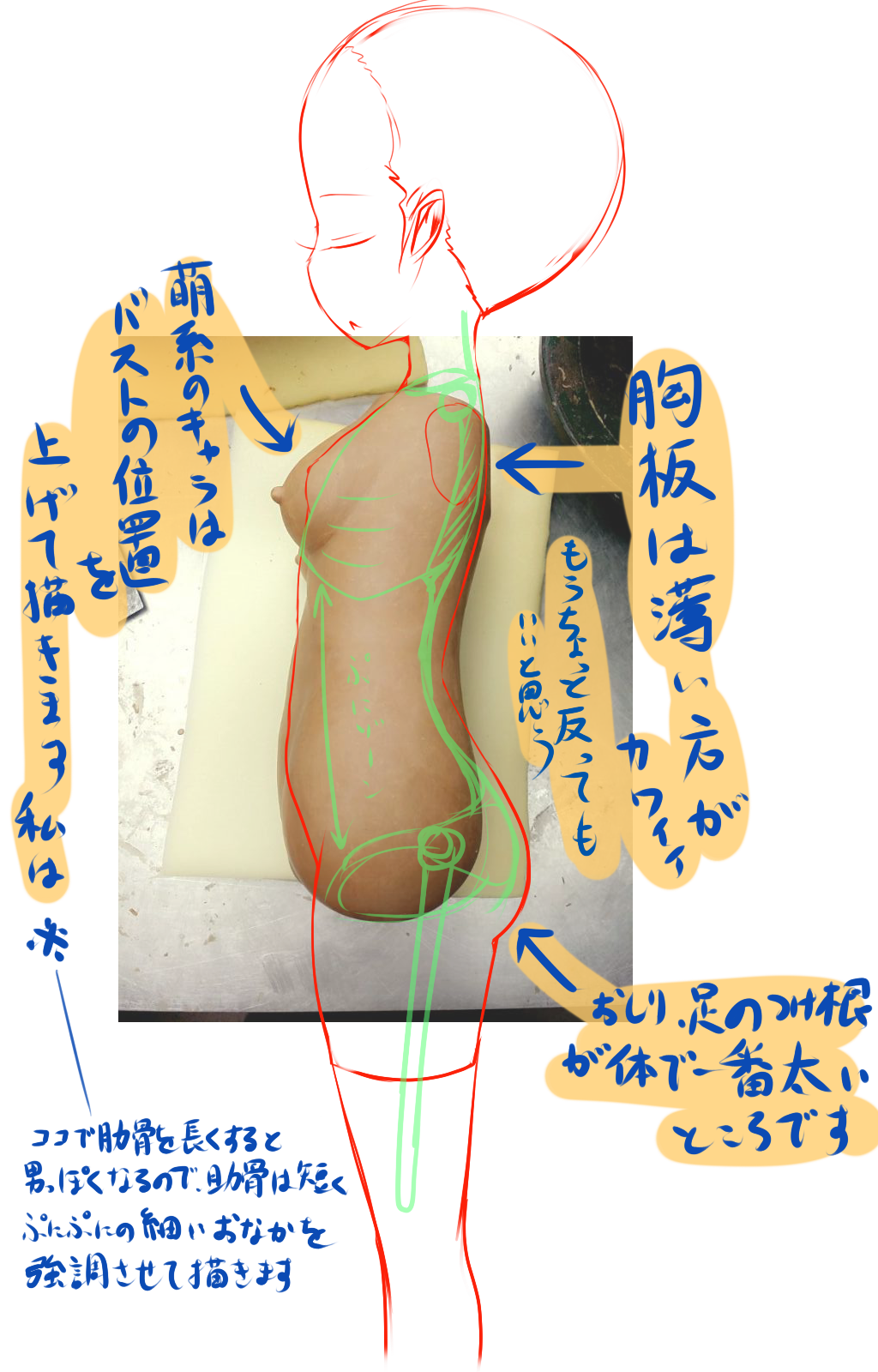 半熟サキュバス サキュエムトルソーしぃし～ 理想の半熟体型を再現!潮吹き&お漏らしギミック搭載!超絶造形! 3kg裸身ホール