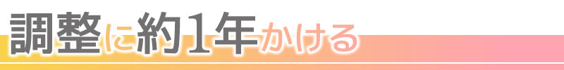 調整に約1年